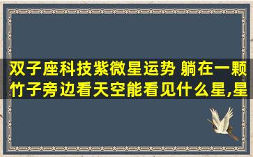 双子座科技紫微星运势 躺在一颗竹子旁边看天空能看见什么星,星座